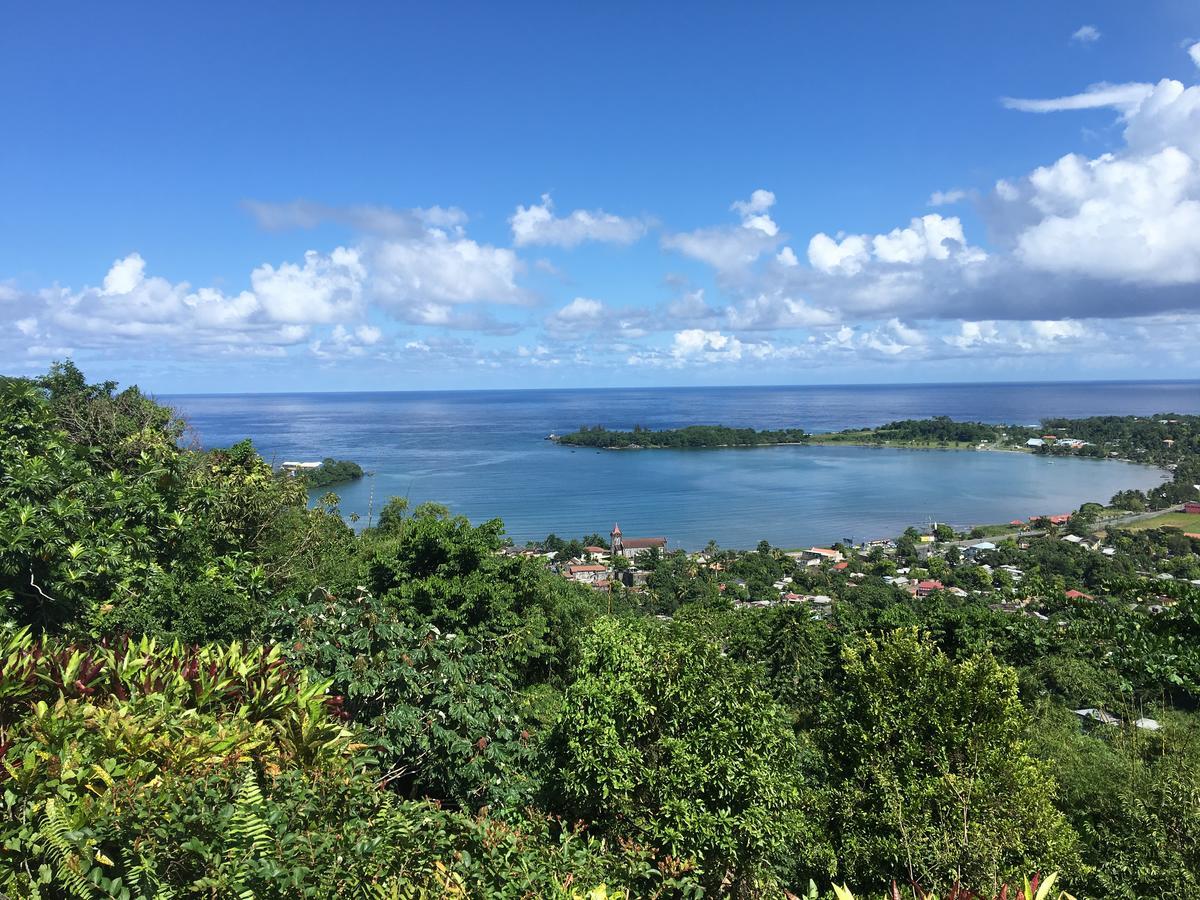 Treetops Villa Port Antonio Exterior photo