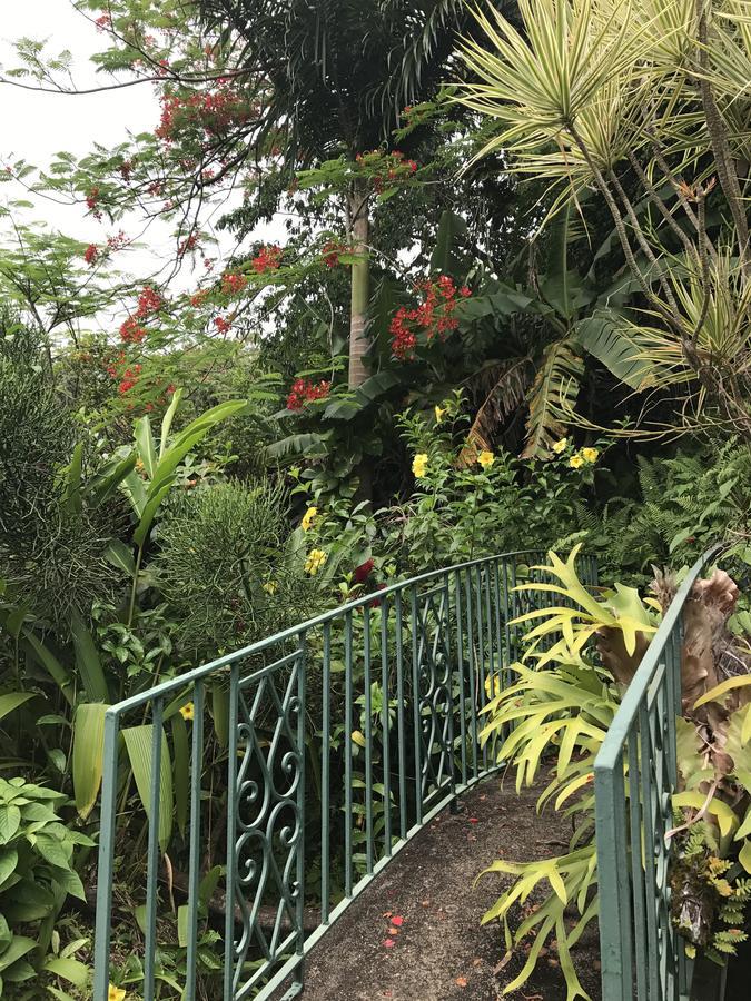 Treetops Villa Port Antonio Exterior photo