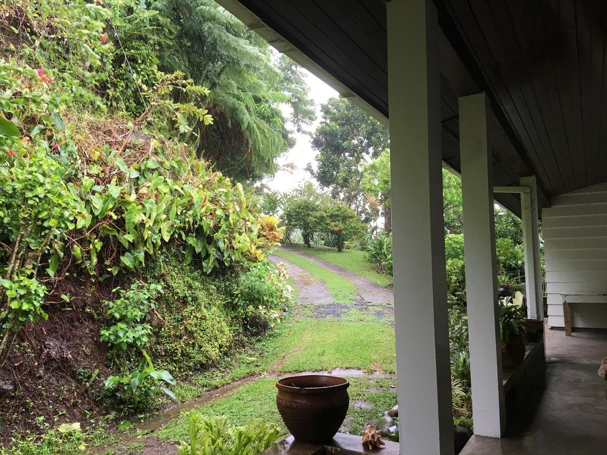Treetops Villa Port Antonio Exterior photo