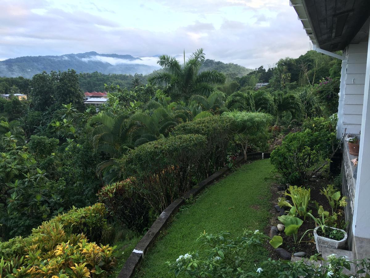 Treetops Villa Port Antonio Exterior photo