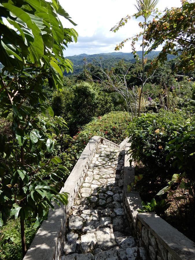 Treetops Villa Port Antonio Exterior photo